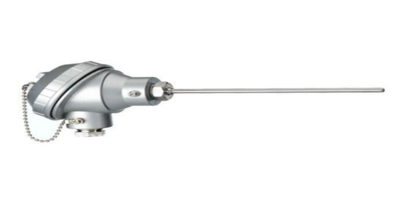 RADIX- RTD SENSOR